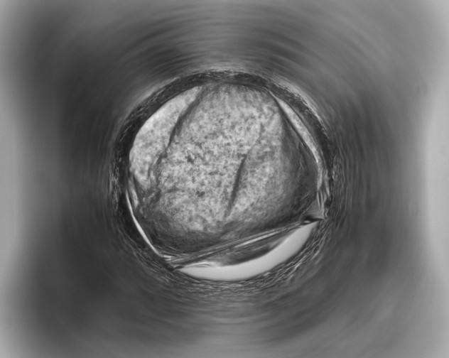 X0000096641064200802261253