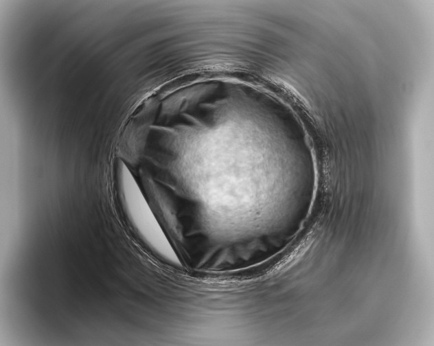 X0000096641065200802261253