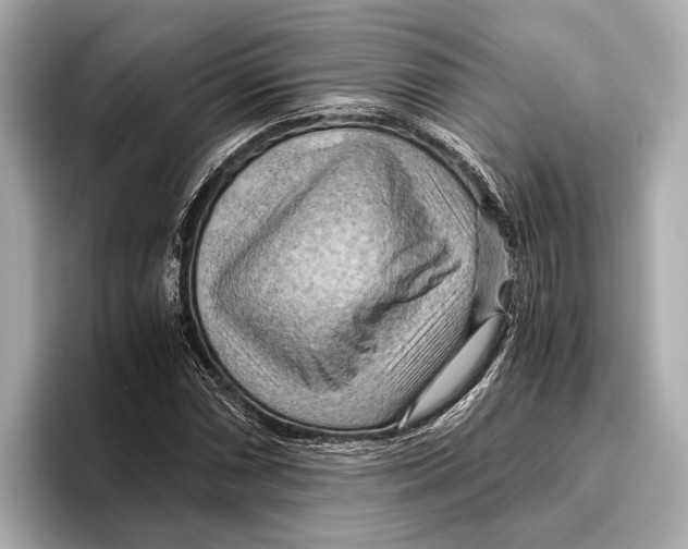 X0000096641066200802261253