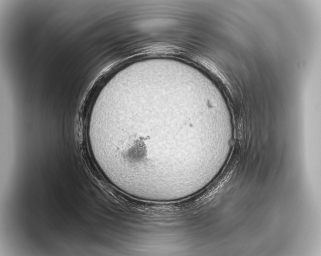 X0000096641067200802261253