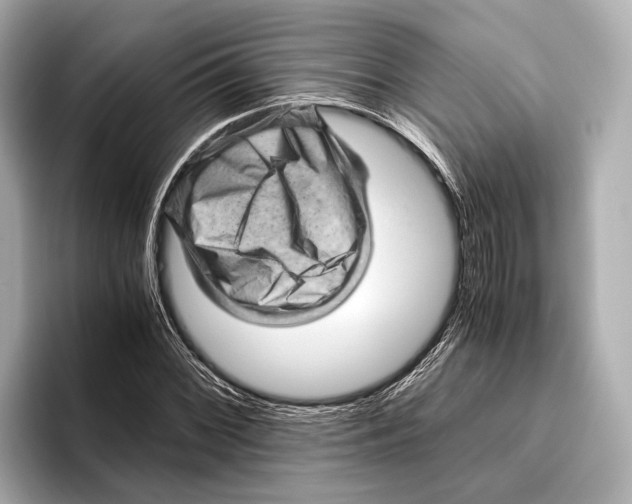 X0000096641068200802261253