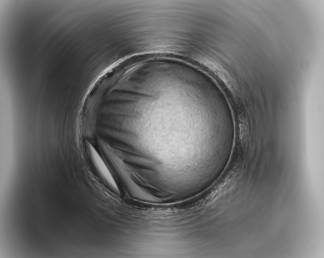 X0000096641069200802261253