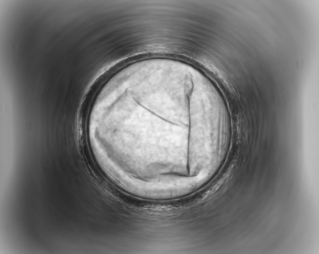 X0000096641070200802261253