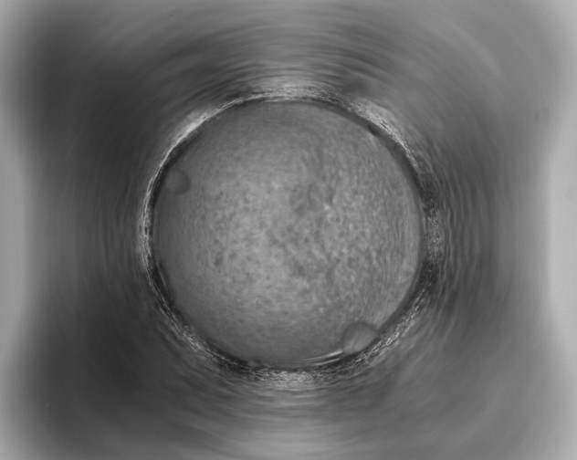 X0000096641071200802261253