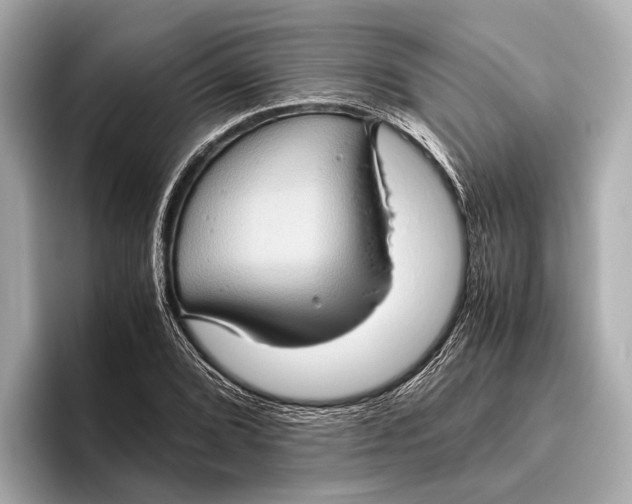 X0000096641072200802261253