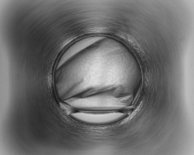 X0000096641073200802261253