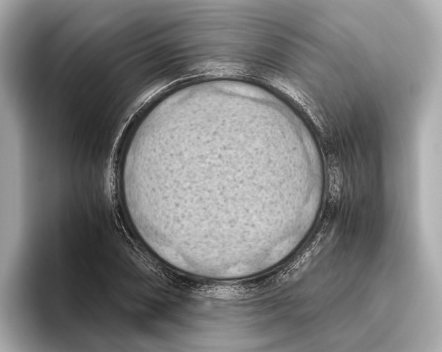 X0000096641074200802261253