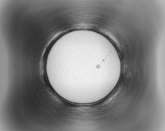 X0000096641075200802261253