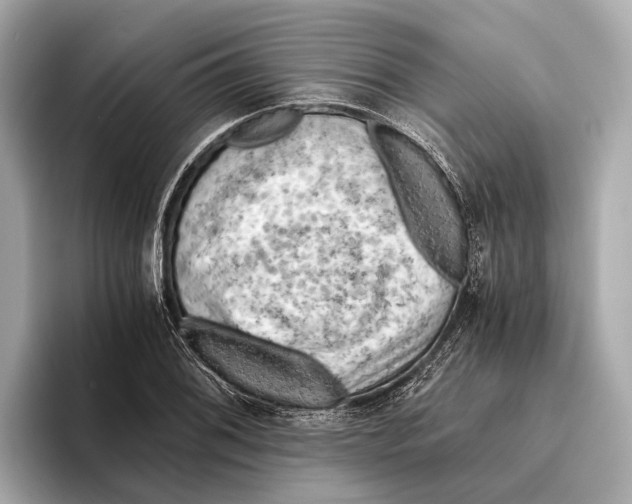 X0000096641076200802261253