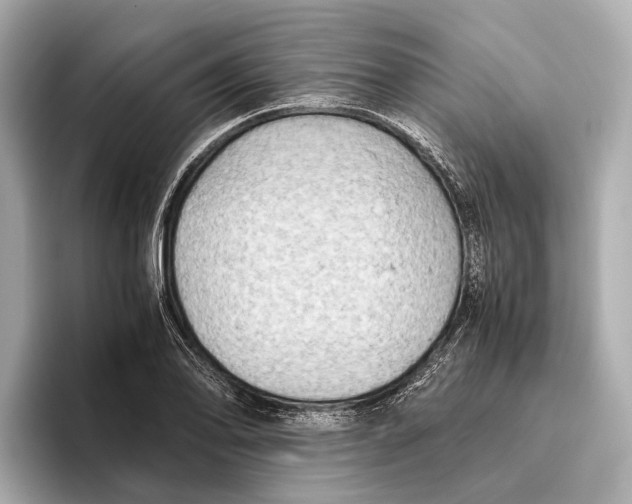 X0000096641078200802261253