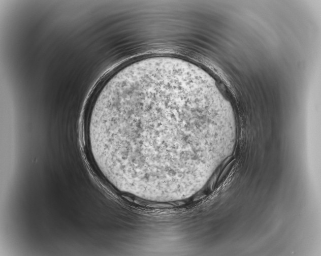 X0000096641080200802261253