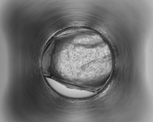 X0000096641081200802261253