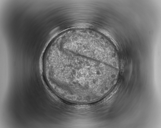 X0000096641083200802261252