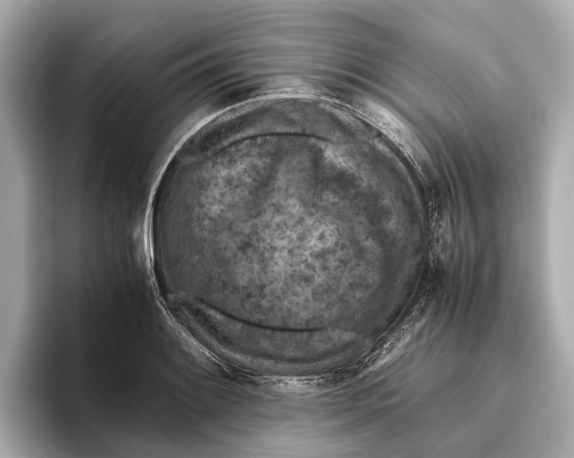 X0000096641084200802261252