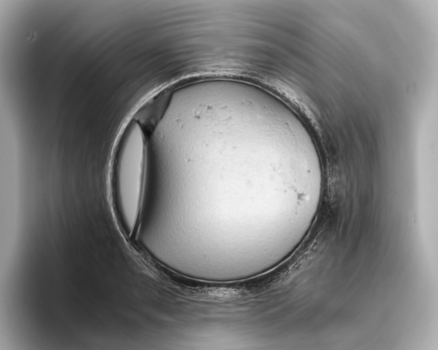 X0000096641085200802261252