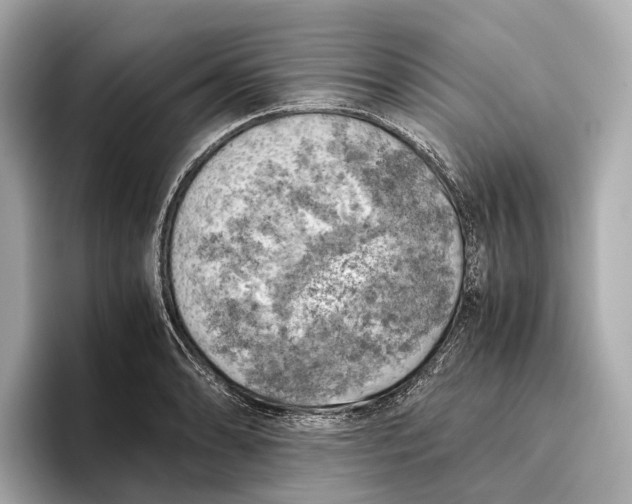 X0000096641086200802261252