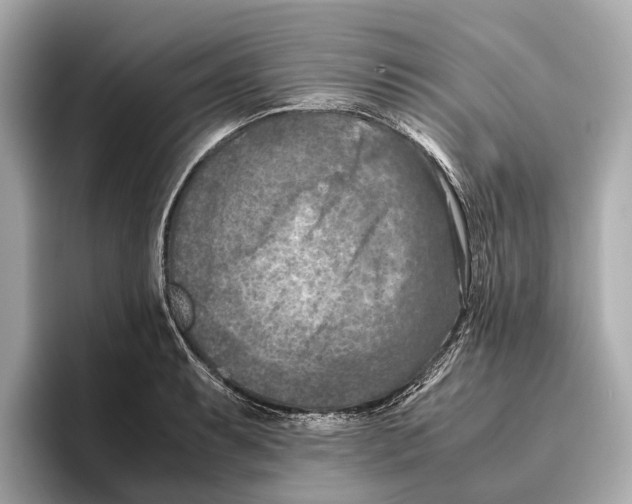 X0000096641087200802261252