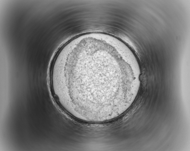 X0000096641088200802261252