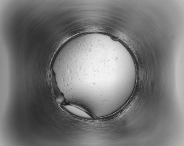 X0000096641089200802261252