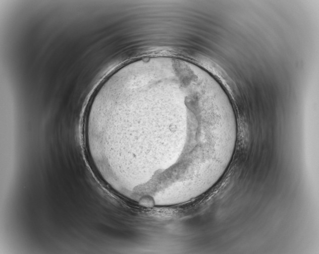 X0000096641090200802261252