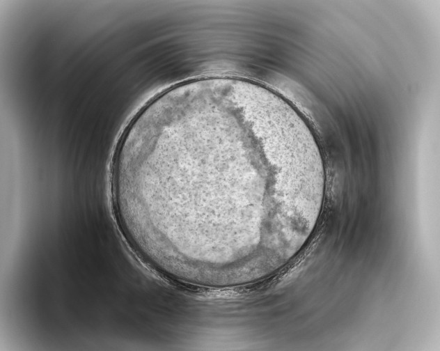 X0000096641094200802261252