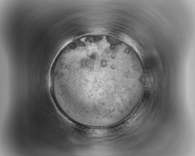 X0000096641095200802261252