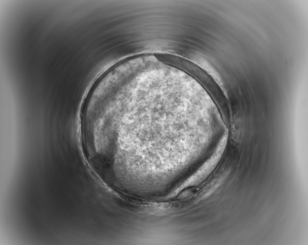 X0000096641096200802261252