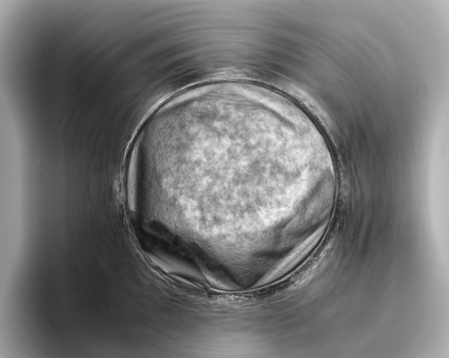 X0000096641097200802261252