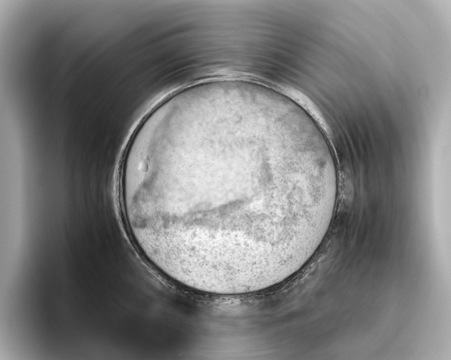 X0000096641098200802261252