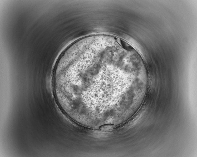 X0000096641100200802261252