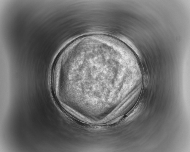 X0000096641101200802261252