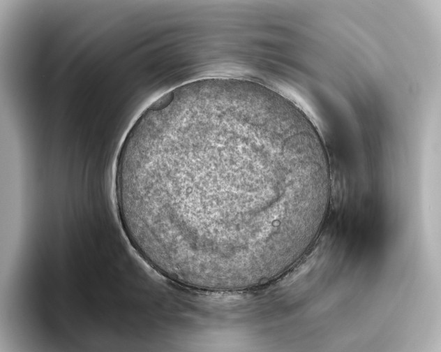 X0000096641103200802261252