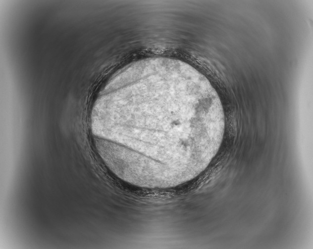 X0000096641105200802261251