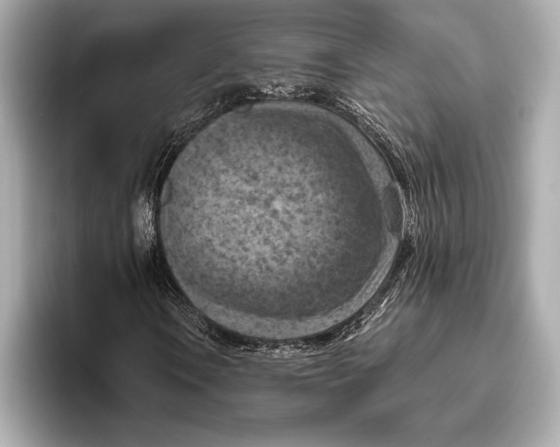 X0000096641106200802261251