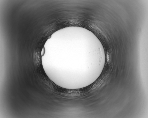 X0000096641107200802261251