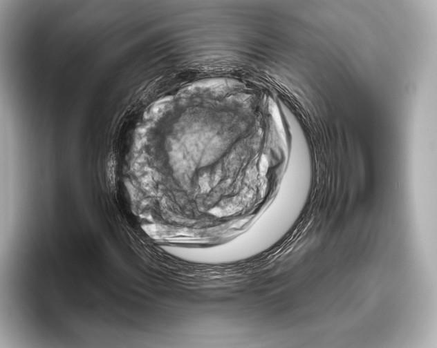 X0000096641108200802261251