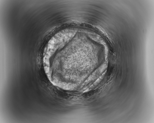 X0000096641110200802261252