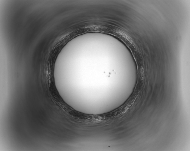 X0000096641111200802261252