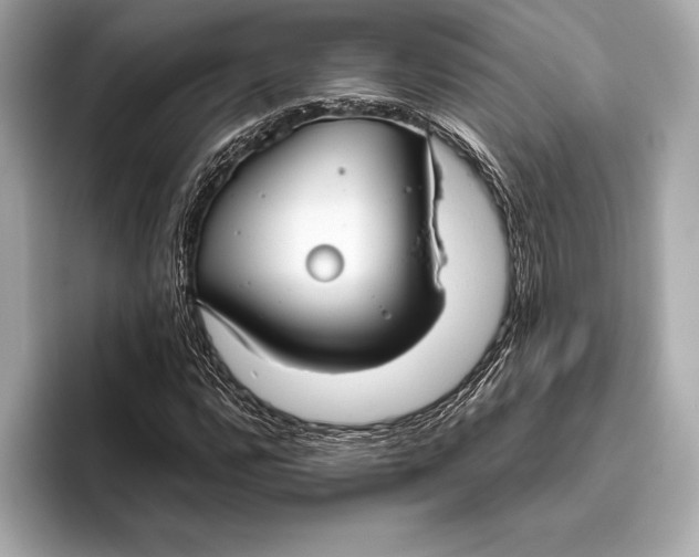 X0000096641112200802261252