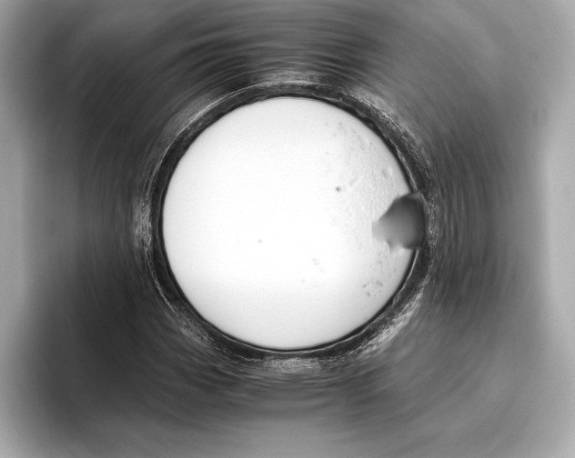 X0000096641113200802261252