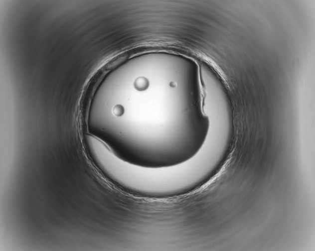 X0000096641114200802261252