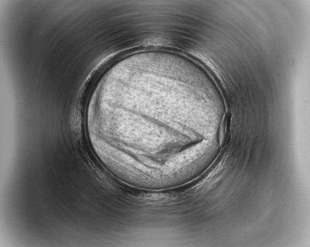 X0000096641115200802261252