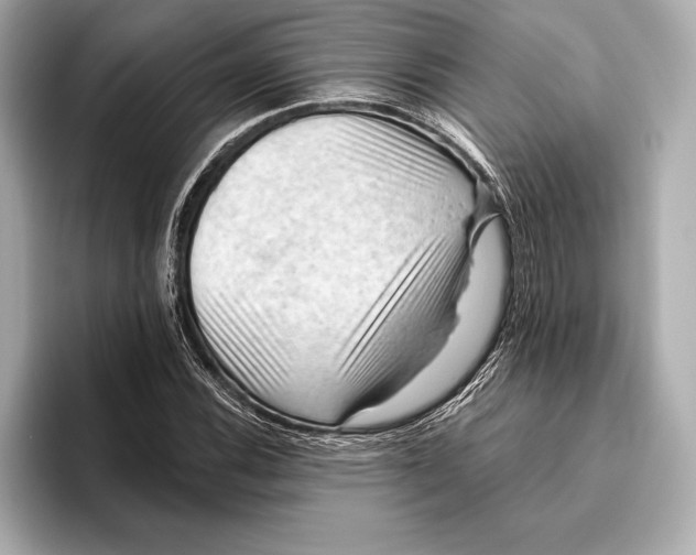 X0000096641116200802261252