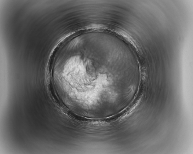 X0000096641117200802261252