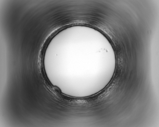 X0000096641119200802261252