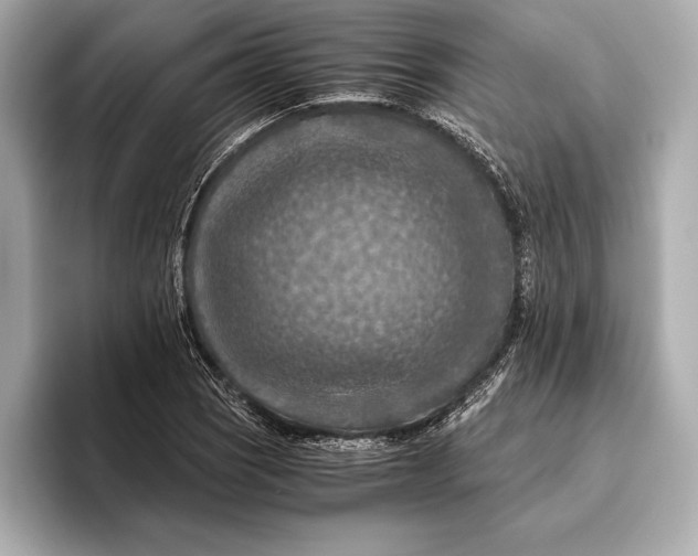 X0000096641121200802261252