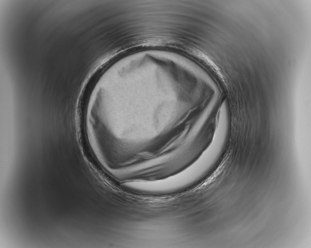 X0000096641122200802261252