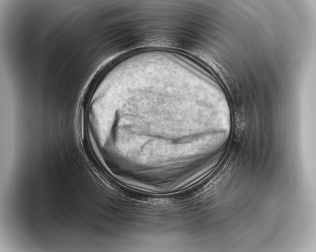 X0000096641123200802261252