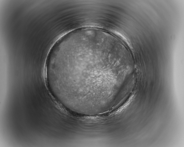 X0000096641125200802261252