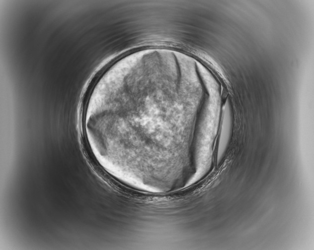 X0000096641128200802261252